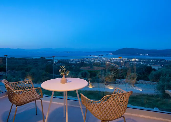 Flomis Luxury 别墅 *