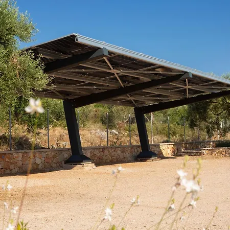 Vilă Flomis Luxury Apolpaina